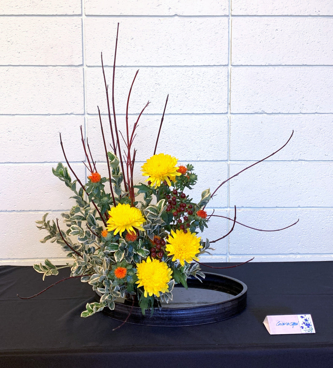 PIA_-_Oval_Suiban_L_-