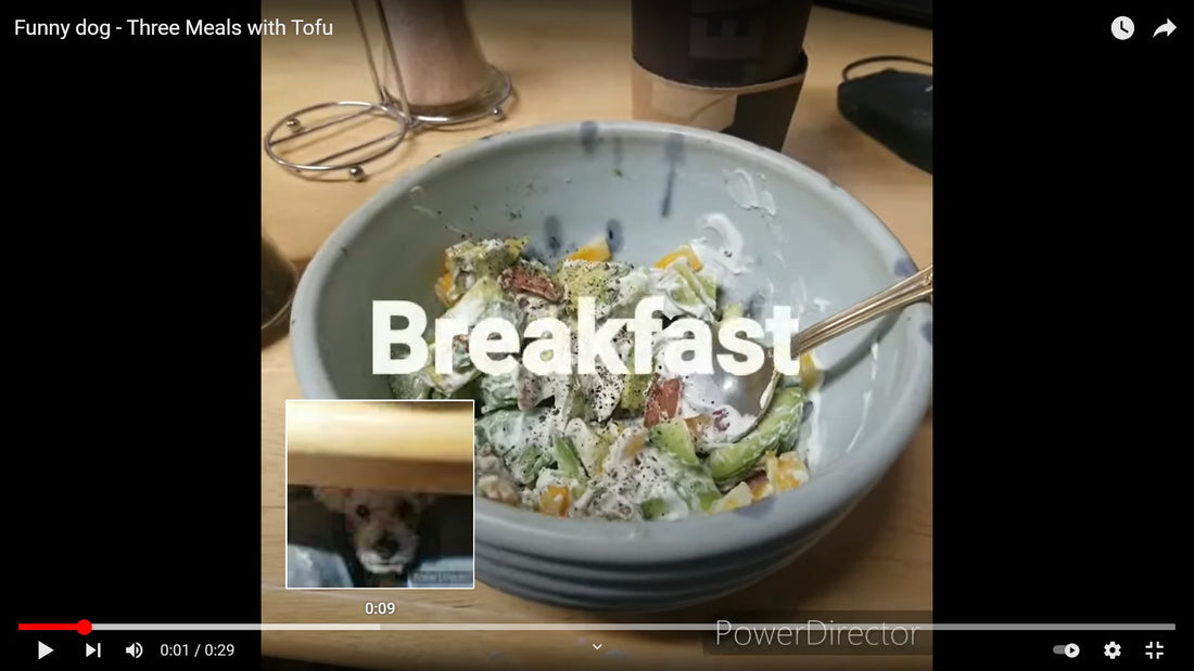 How we use our ceramics - YouTube