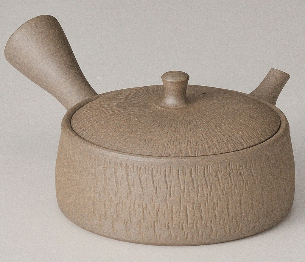 Tokoname Japanese Teapot: Tamamitsu 160cc 2022-013
