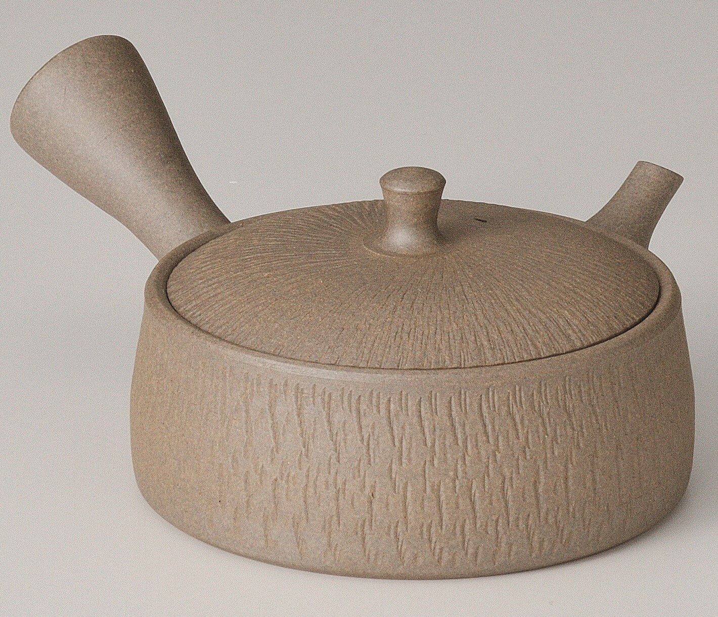 Tokoname Japanese Teapot: Tamamitsu 160cc 2022-013