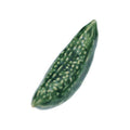 Chopsticks Rest: Bitter gourd Chopstick Rest from Japan: Bitter gourd 2012-062