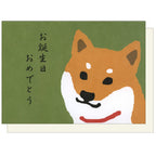 Shibata-san Shiba Inu birthday card GS-182 with a green cover and cream envelope.
