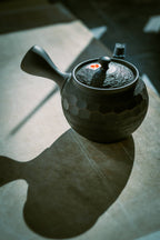 Tokoname Japanese Teapot: Horyu 400cc 2022-015