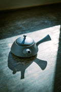 Tokoname Japanese Teapot:  Black Flat Triangular 230cc  2022-011