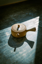 Tokoname Japanese Teapot: Tamamitsu 160cc 2022-013