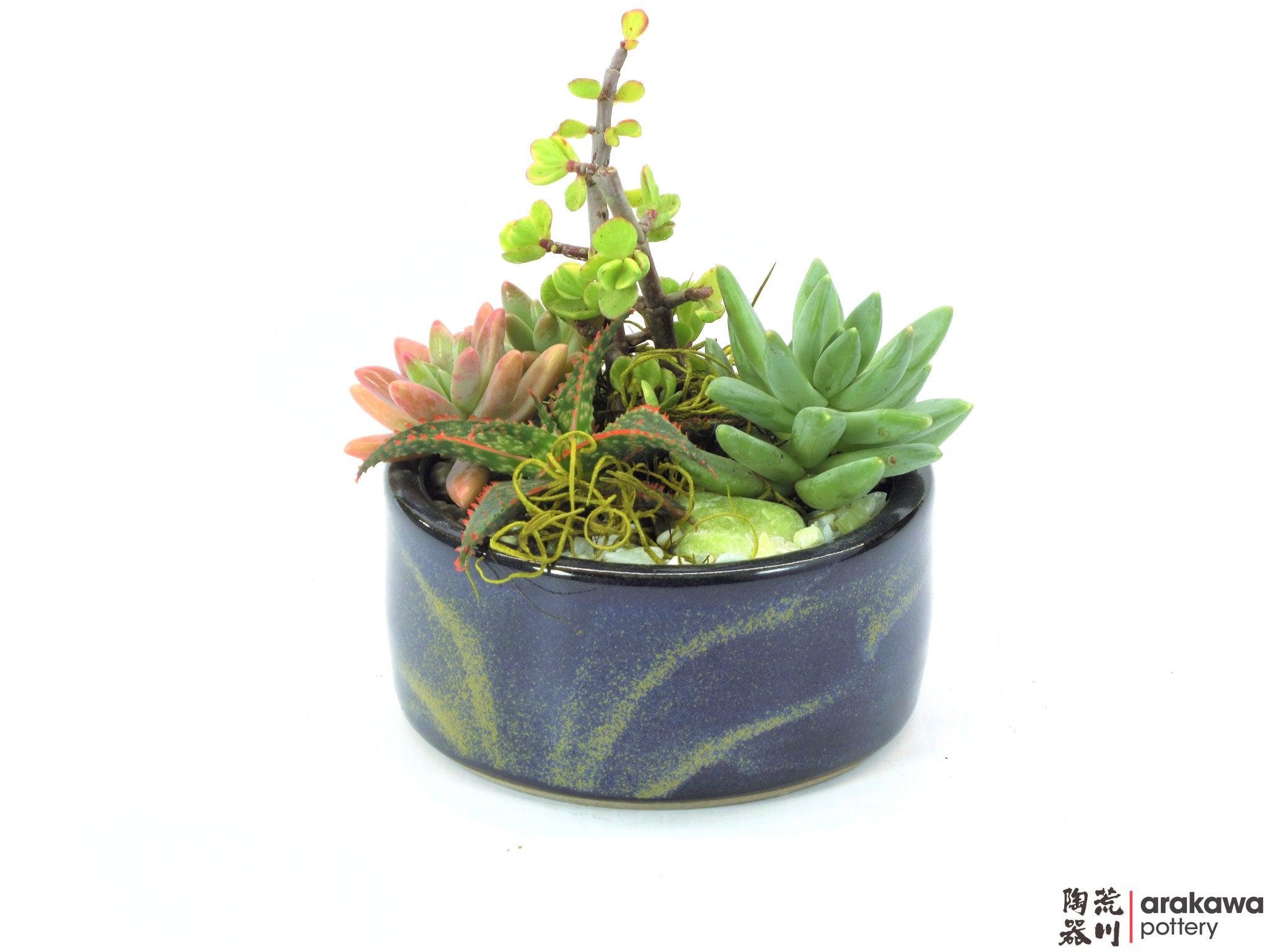 Bonsai Pot (Planter)