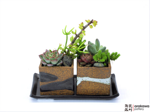 Planter, Bonsai Pot, Succulent Pot.